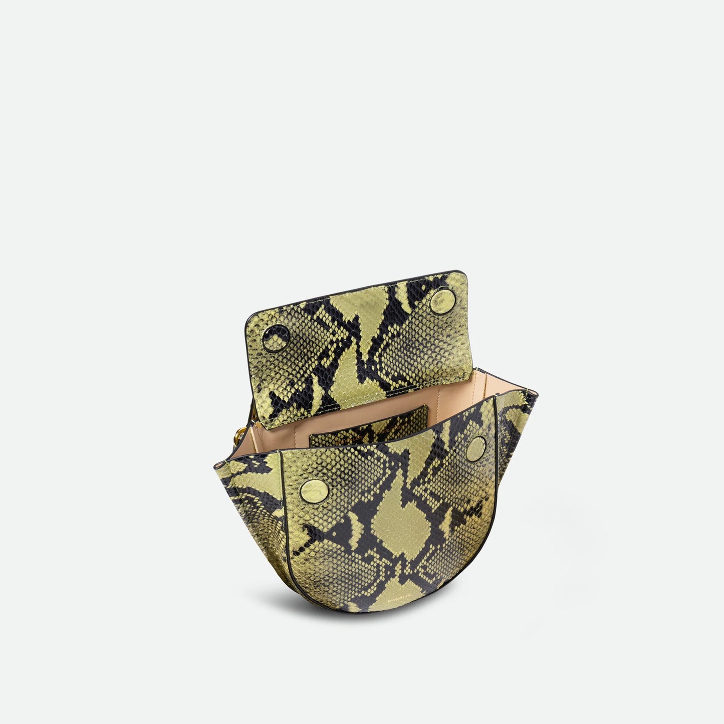 WANDLER - Hortensia Mini Lime Python